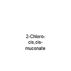 2-Chloro-cis,cis- muconate